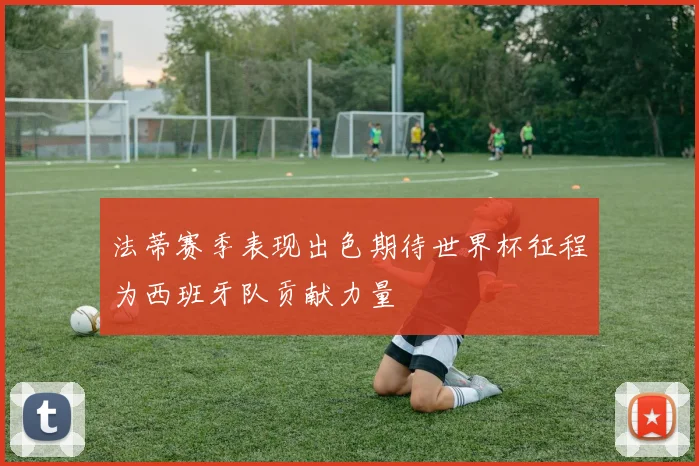 法蒂赛季表现出色期待世界杯征程为西班牙队贡献力量