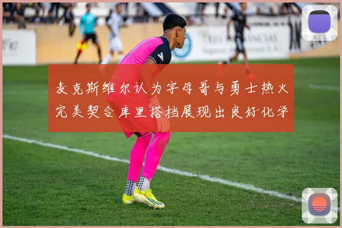 麦克斯维尔认为字母哥与勇士热火完美契合库里搭档展现出良好化学反应