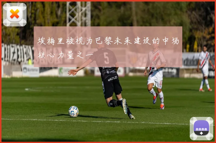 埃梅里被视为巴黎未来建设的中场核心力量之一